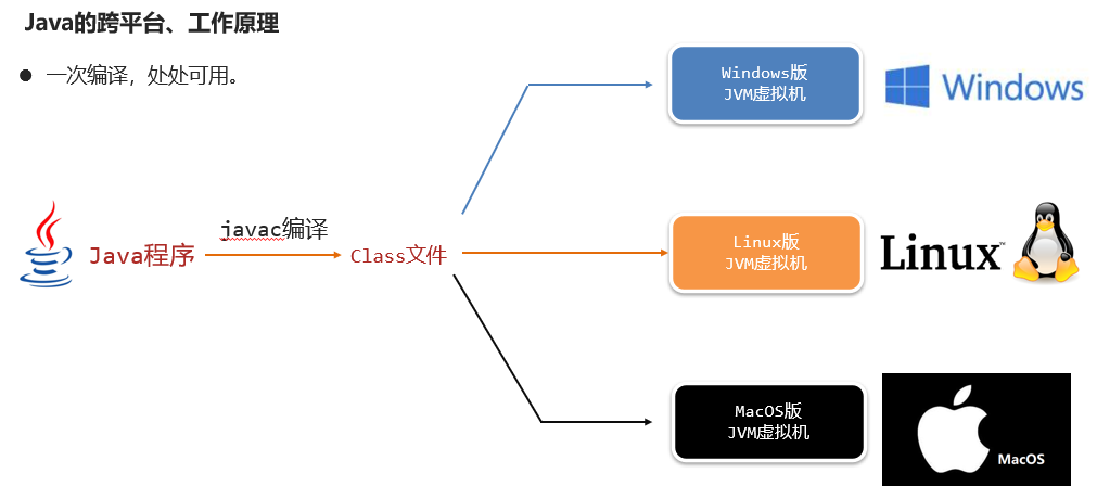 image-20230911201301227